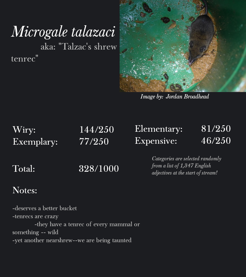 Microgale talazaci